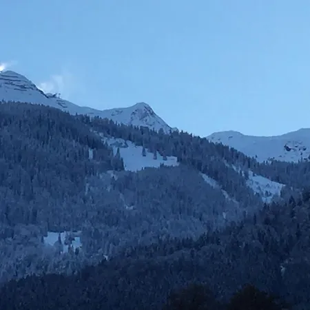 - Bergblick - * Фанданс